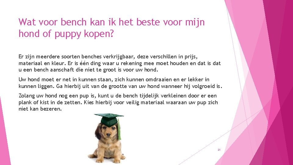 Wat voor bench kan ik het beste voor mijn hond of puppy kopen? Er