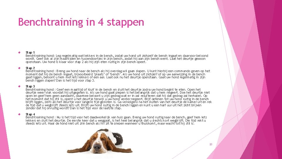 Benchtraining in 4 stappen Stap 1 Benchtraining hond: Leg regelmatig wat lekkers in de