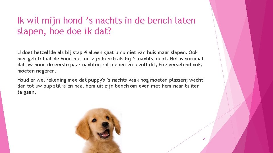 Ik wil mijn hond ’s nachts in de bench laten slapen, hoe doe ik