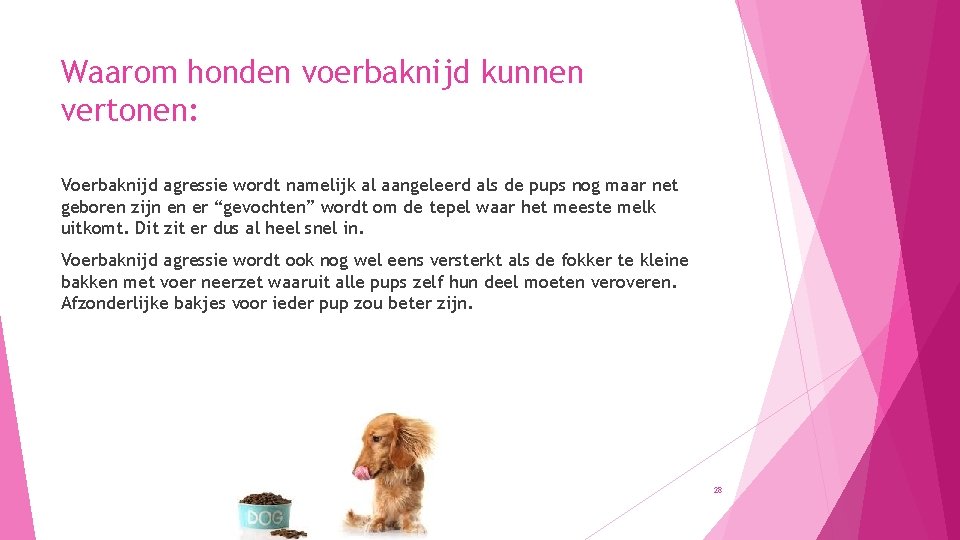 Waarom honden voerbaknijd kunnen vertonen: Voerbaknijd agressie wordt namelijk al aangeleerd als de pups