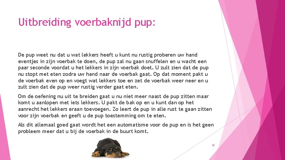 Uitbreiding voerbaknijd pup: De pup weet nu dat u wat lekkers heeft u kunt