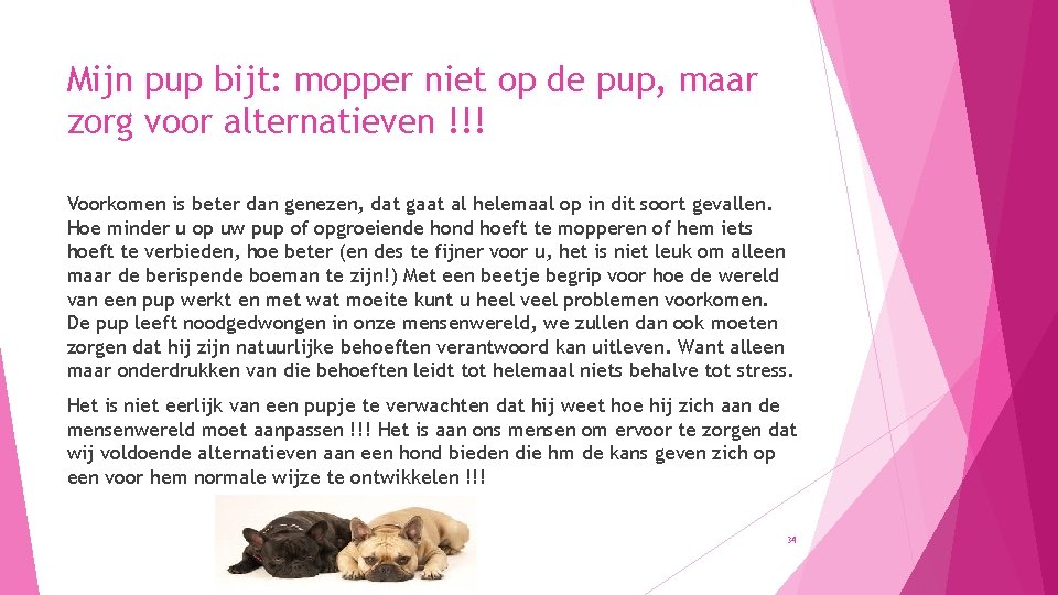 Mijn pup bijt: mopper niet op de pup, maar zorg voor alternatieven !!! Voorkomen