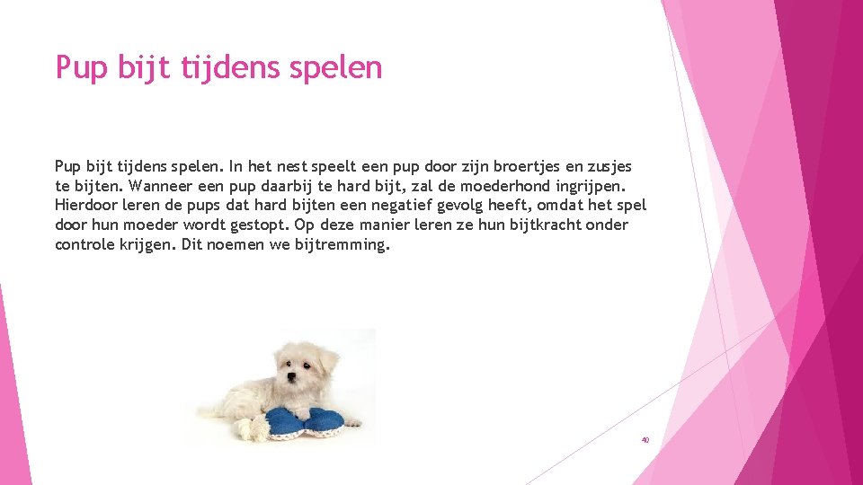 Pup bijt tijdens spelen. In het nest speelt een pup door zijn broertjes en