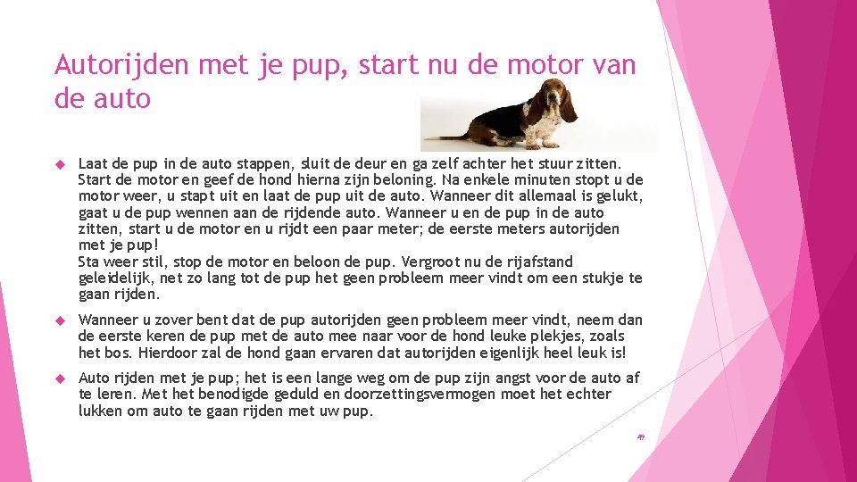 Autorijden met je pup, start nu de motor van de auto Laat de pup