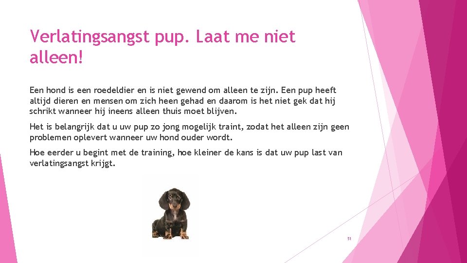 Verlatingsangst pup. Laat me niet alleen! Een hond is een roedeldier en is niet