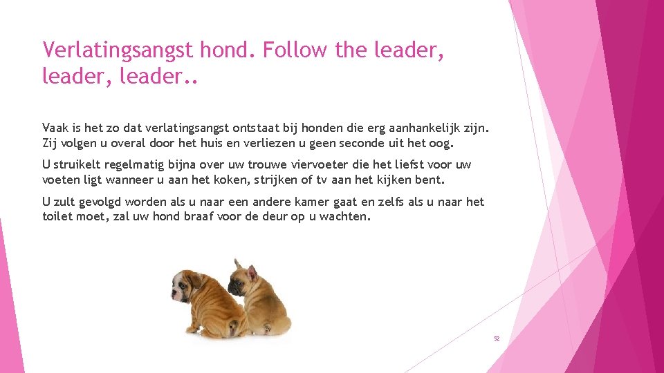Verlatingsangst hond. Follow the leader, leader. . Vaak is het zo dat verlatingsangst ontstaat