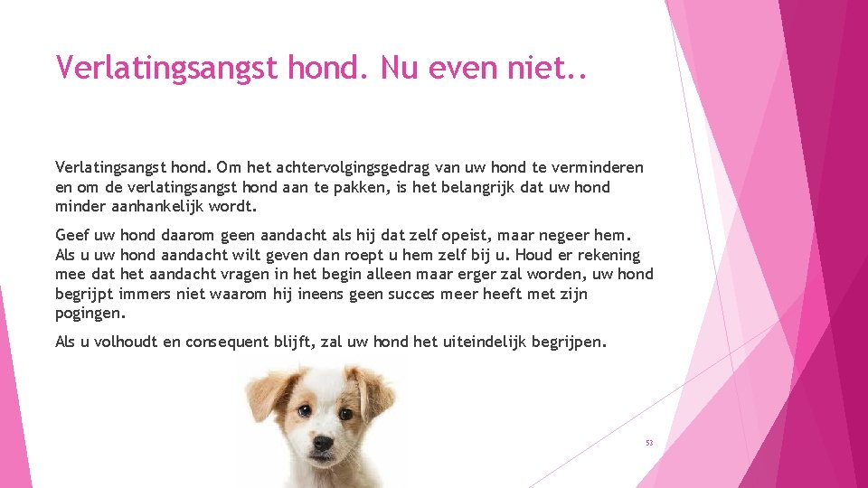 Verlatingsangst hond. Nu even niet. . Verlatingsangst hond. Om het achtervolgingsgedrag van uw hond