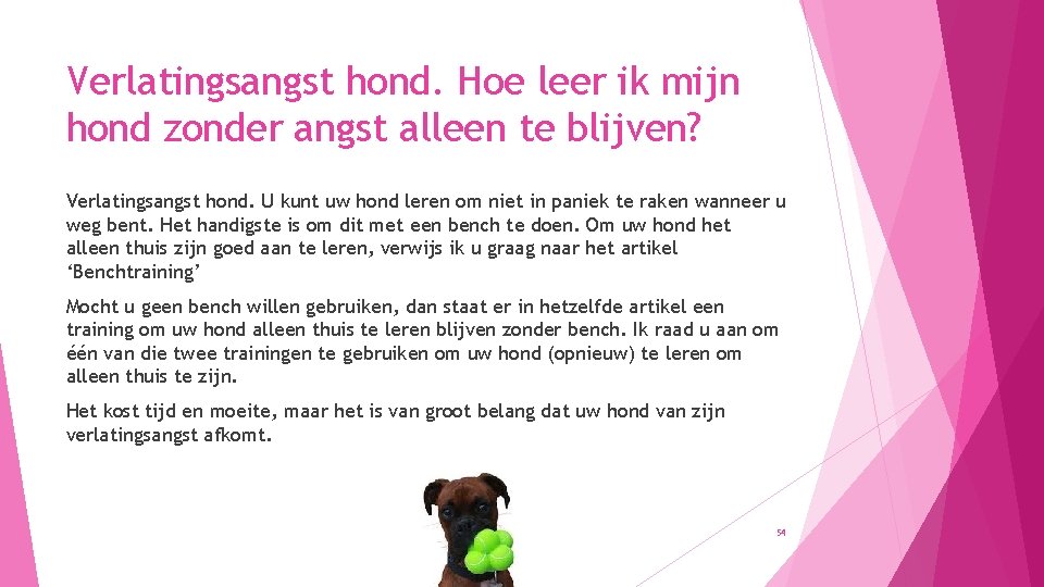 Verlatingsangst hond. Hoe leer ik mijn hond zonder angst alleen te blijven? Verlatingsangst hond.