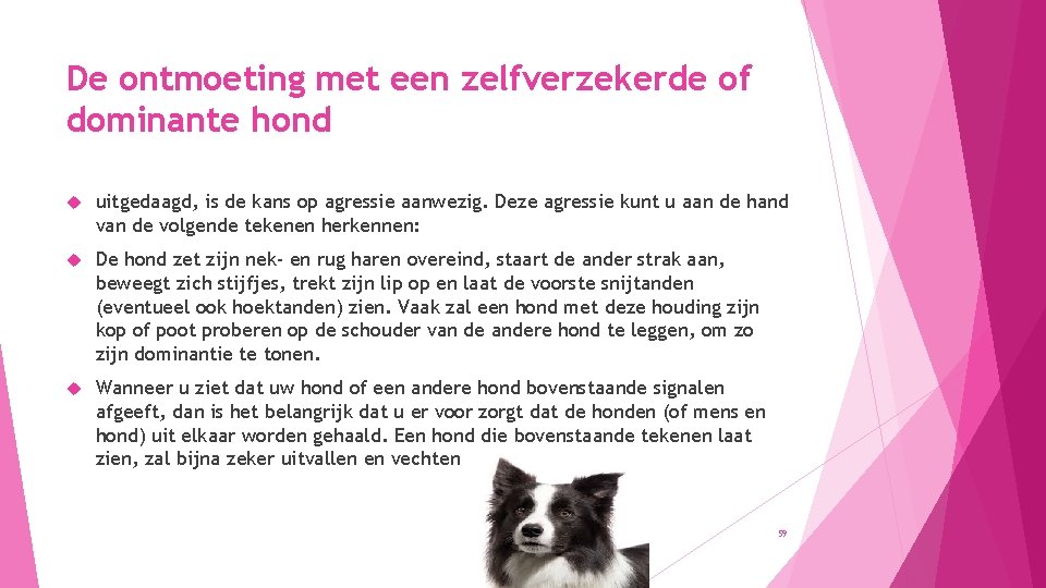 De ontmoeting met een zelfverzekerde of dominante hond uitgedaagd, is de kans op agressie