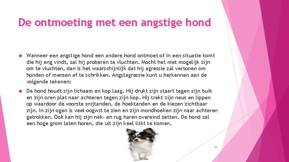 De ontmoeting met een angstige hond Wanneer een angstige hond een andere hond ontmoet