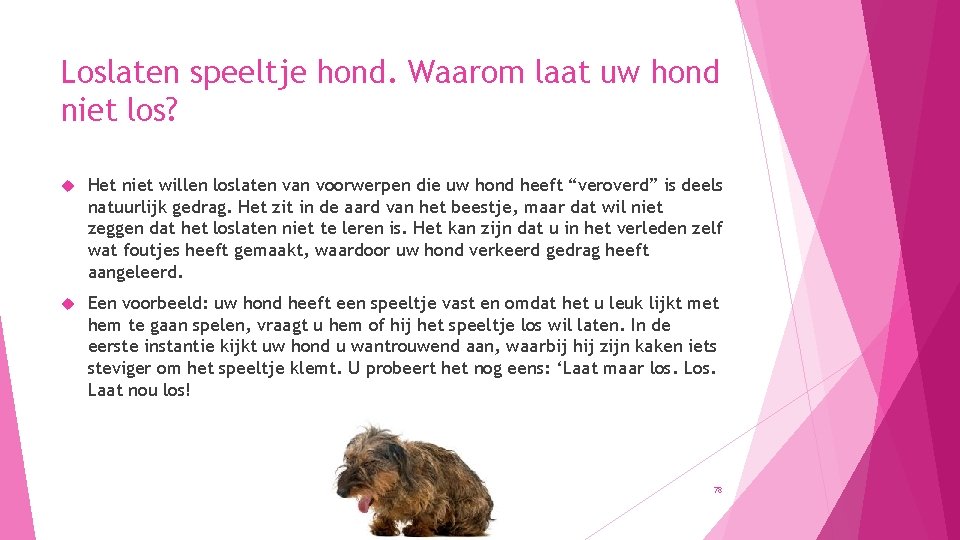 Loslaten speeltje hond. Waarom laat uw hond niet los? Het niet willen loslaten van