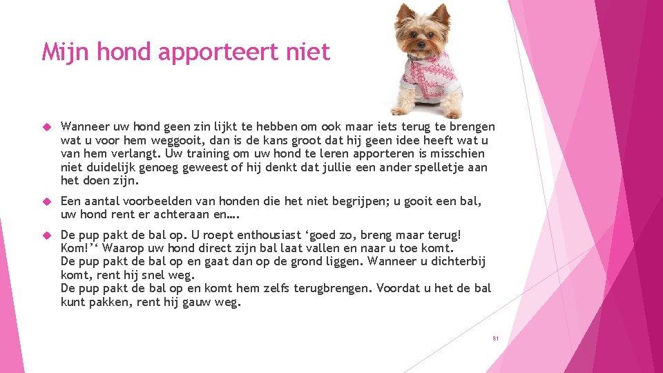 Mijn hond apporteert niet Wanneer uw hond geen zin lijkt te hebben om ook