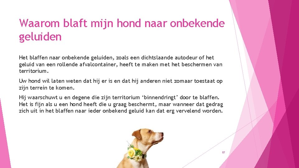 Waarom blaft mijn hond naar onbekende geluiden Het blaffen naar onbekende geluiden, zoals een