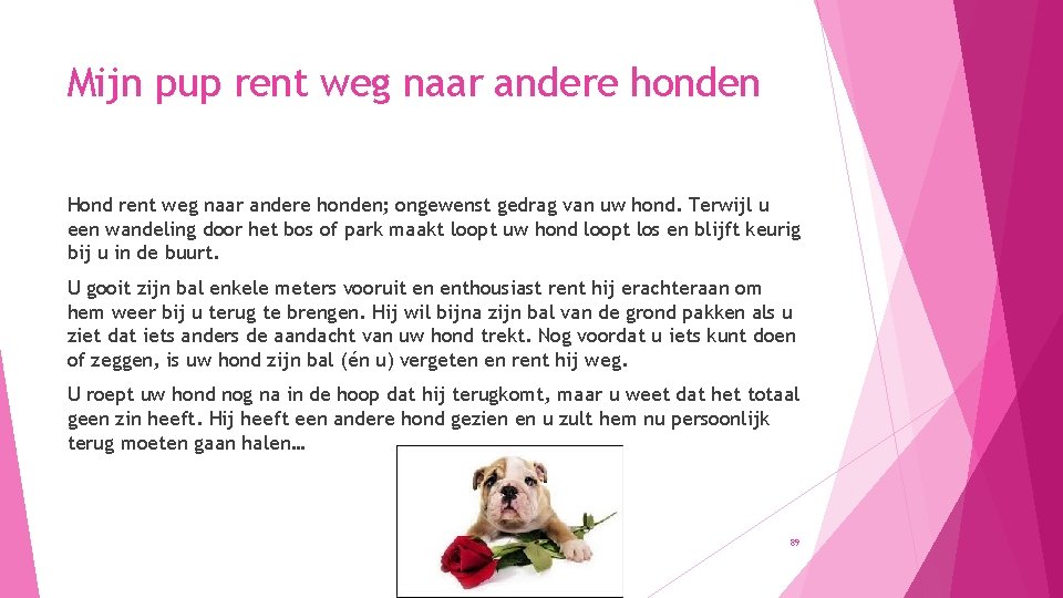 Mijn pup rent weg naar andere honden Hond rent weg naar andere honden; ongewenst