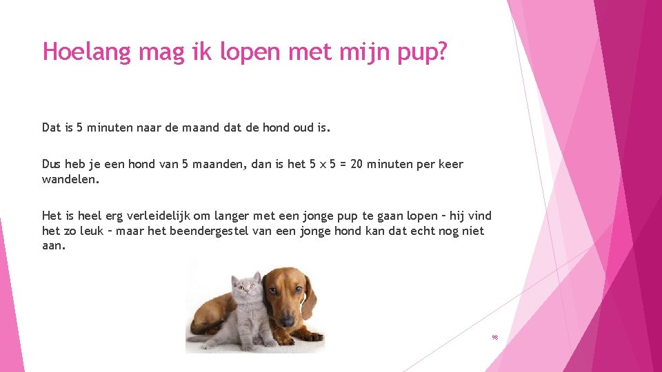 Hoelang mag ik lopen met mijn pup? Dat is 5 minuten naar de maand