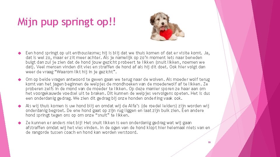 Mijn pup springt op!! Een hond springt op uit enthousiasme; hij is blij dat