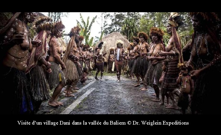 Visite d’un village Dani dans la vallée du Baliem © Dr. Weiglein Expeditions 