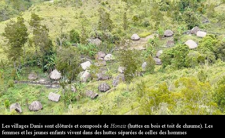 PPS @Daniel. S Les villages Danis sont clôturés et composés de Honais (huttes en