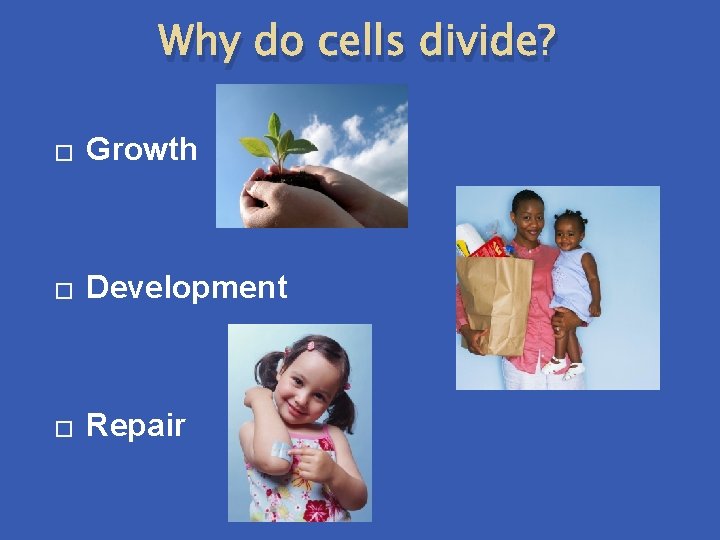 Why do cells divide? � Growth � Development � Repair 