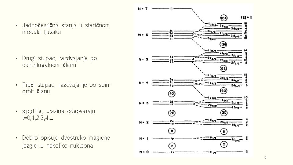  • Jednočestična stanja u sferičnom modelu ljusaka • Drugi stupac, razdvajanje po centrifugalnom