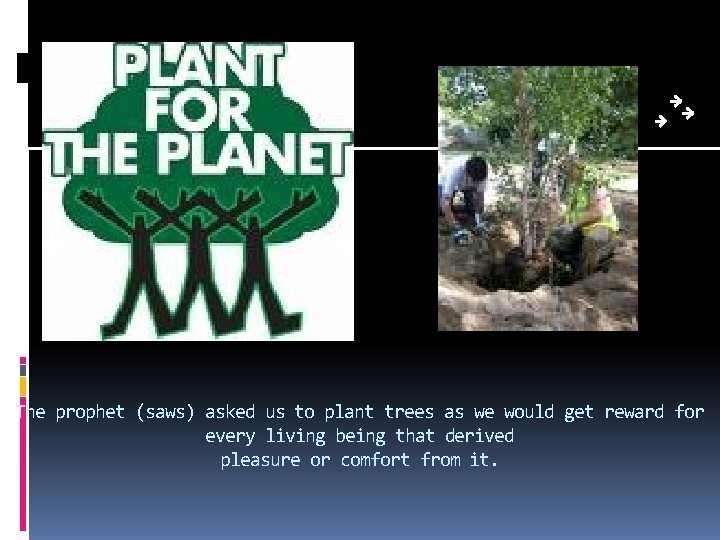 The prophet (saws) asked us to plant trees as we would get reward for