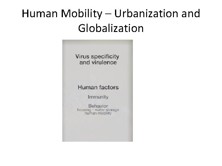 Human Mobility – Urbanization and Globalization 