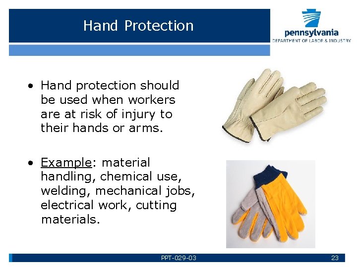 Hand Protection • Hand protection should be used when workers are at risk of