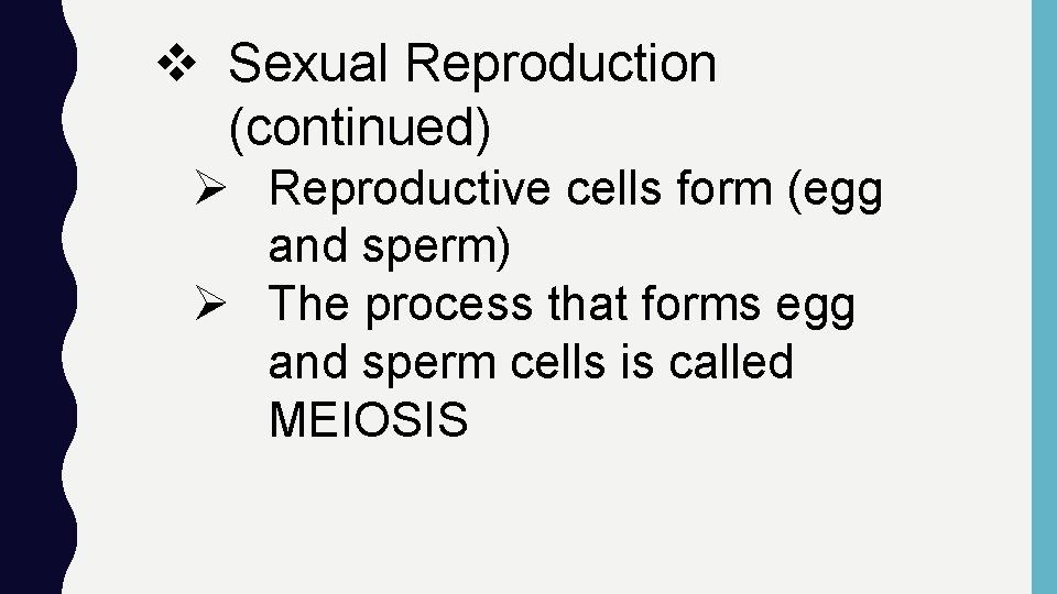 v Sexual Reproduction (continued) Ø Reproductive cells form (egg and sperm) Ø The process