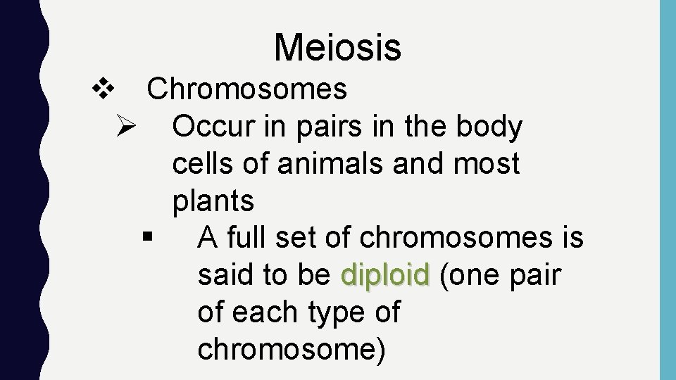 Meiosis v Chromosomes Ø Occur in pairs in the body cells of animals and