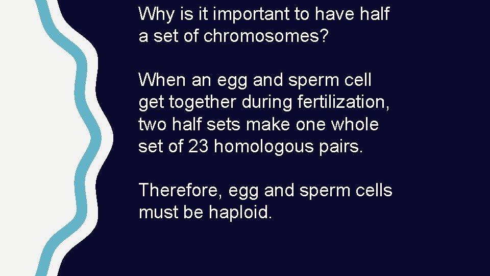 Why is it important to have half a set of chromosomes? When an egg