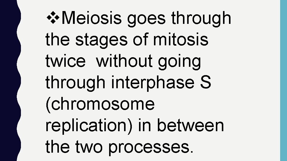 v. Meiosis goes through the stages of mitosis twice without going through interphase S
