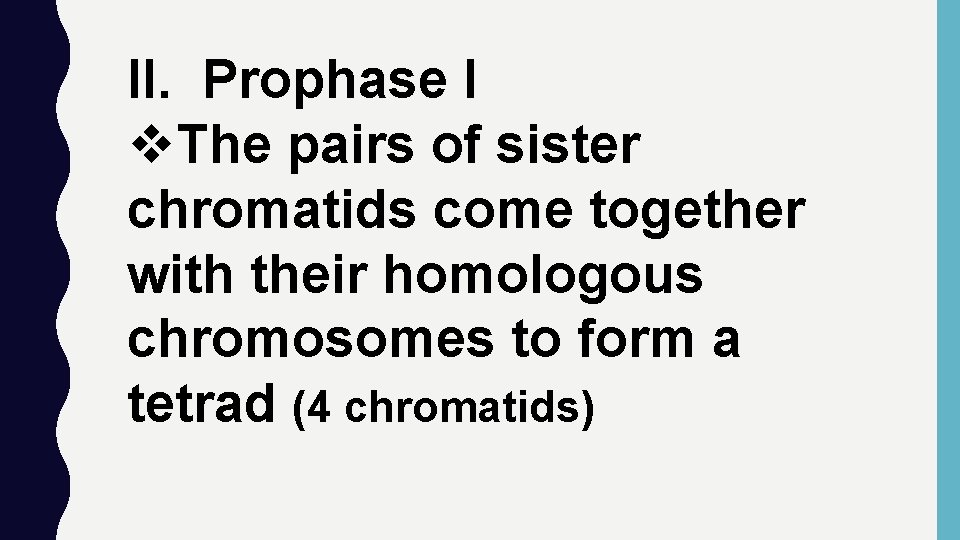 II. Prophase I v. The pairs of sister chromatids come together with their homologous