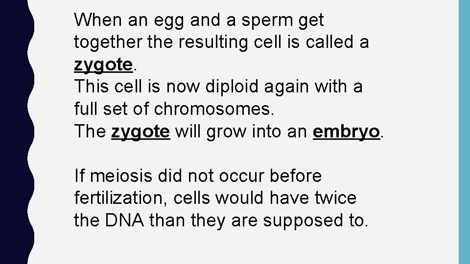 When an egg and a sperm get together the resulting cell is called a