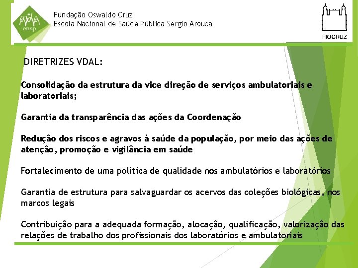 Fundação Oswaldo Cruz Escola Nacional de Saúde Pública Sergio Arouca DIRETRIZES VDAL: Consolidação da