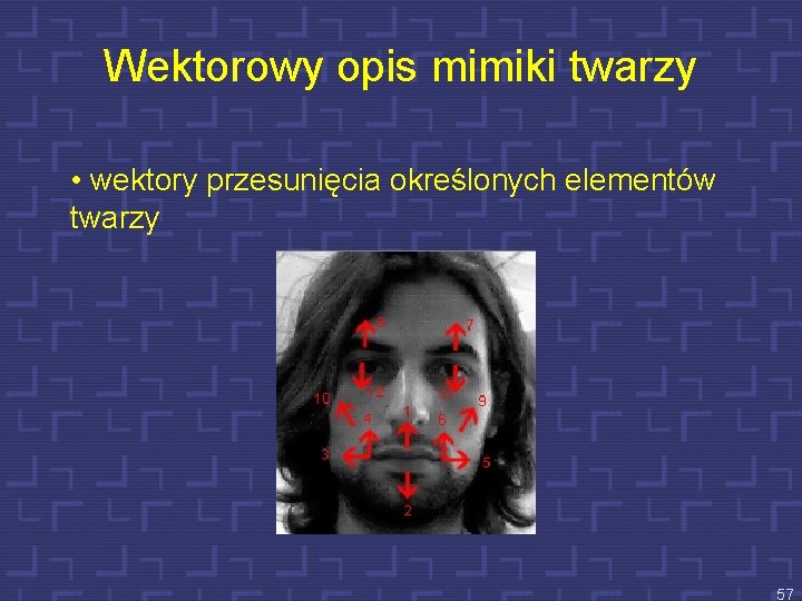 Wektorowy opis mimiki twarzy • wektory przesunięcia określonych elementów twarzy 57 