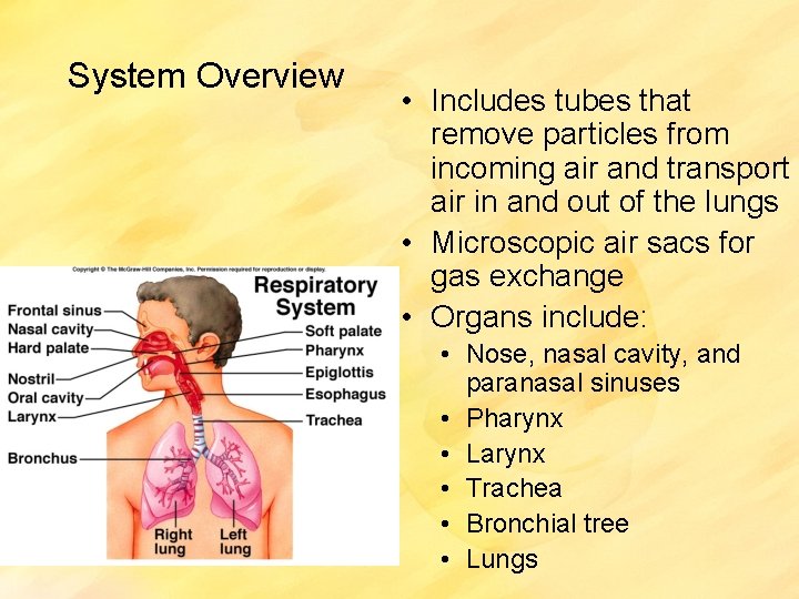 System Overview • Includes tubes that remove particles from incoming air and transport air