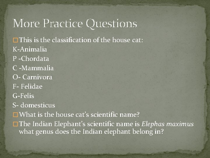More Practice Questions � This is the classification of the house cat: K-Animalia P More Practice Questions � This is the classification of the house cat: K-Animalia P