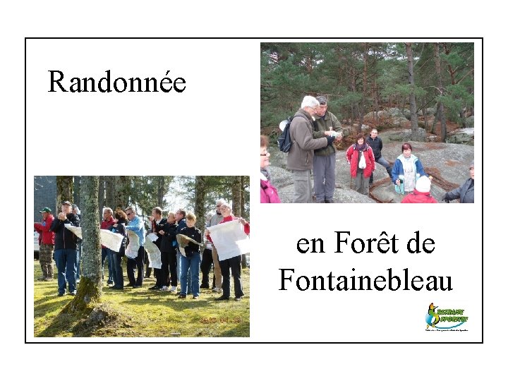 Randonnée en Forêt de Fontainebleau 