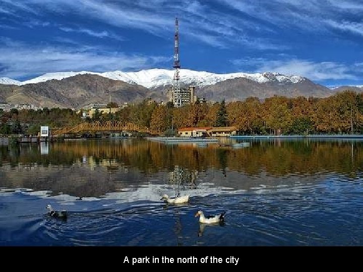 A park in the north of the city 