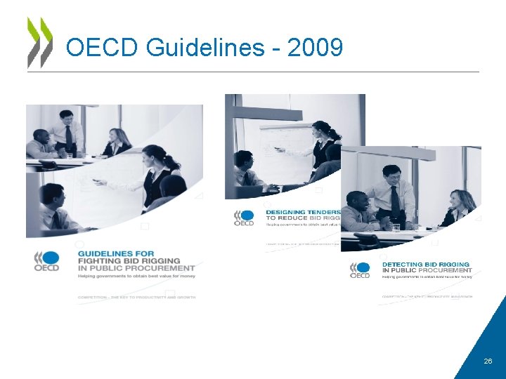 OECD Guidelines - 2009 26 