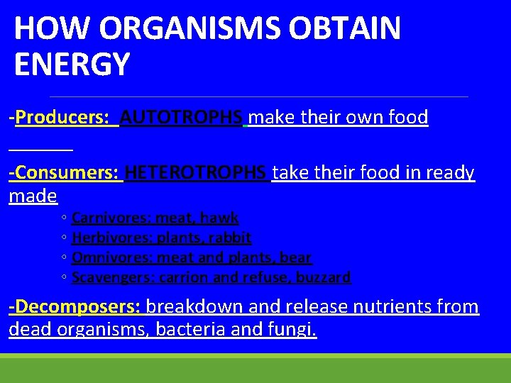 HOW ORGANISMS OBTAIN ENERGY -Producers: AUTOTROPHS make their own food -Consumers: HETEROTROPHS take their