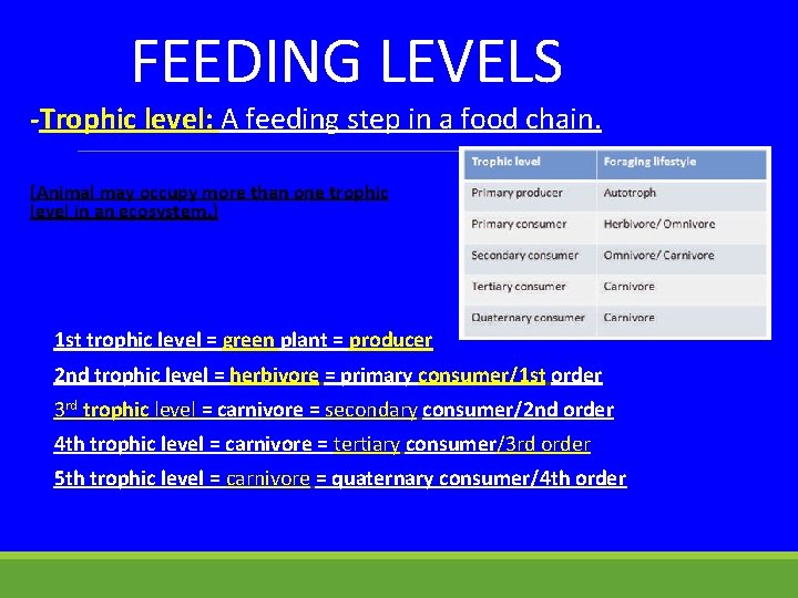 FEEDING LEVELS -Trophic level: A feeding step in a food chain. (Animal may occupy
