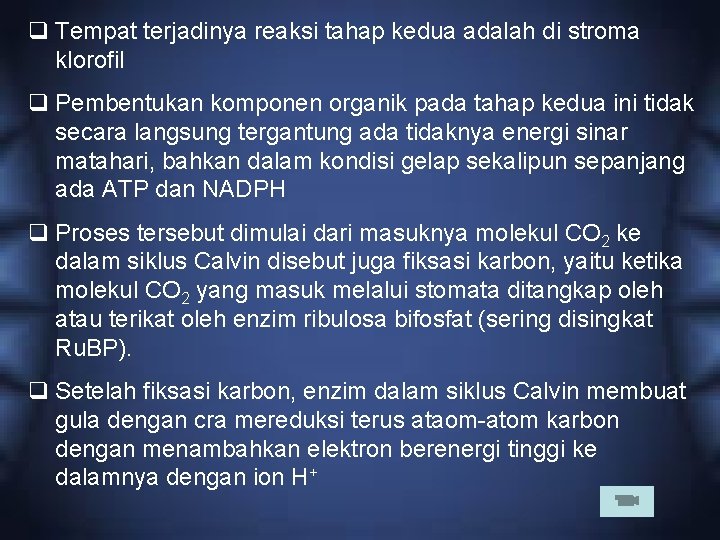 q Tempat terjadinya reaksi tahap kedua adalah di stroma klorofil q Pembentukan komponen organik