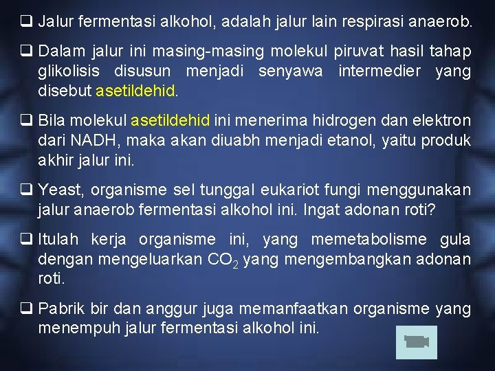 q Jalur fermentasi alkohol, adalah jalur lain respirasi anaerob. q Dalam jalur ini masing-masing