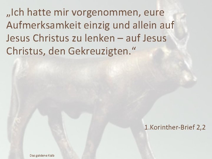 „Ich hatte mir vorgenommen, eure Aufmerksamkeit einzig und allein auf Jesus Christus zu lenken