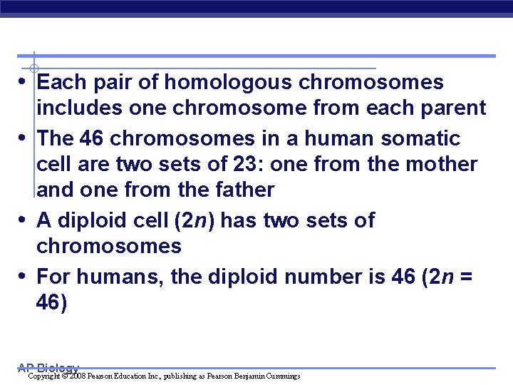  • Each pair of homologous chromosomes • • • includes one chromosome from