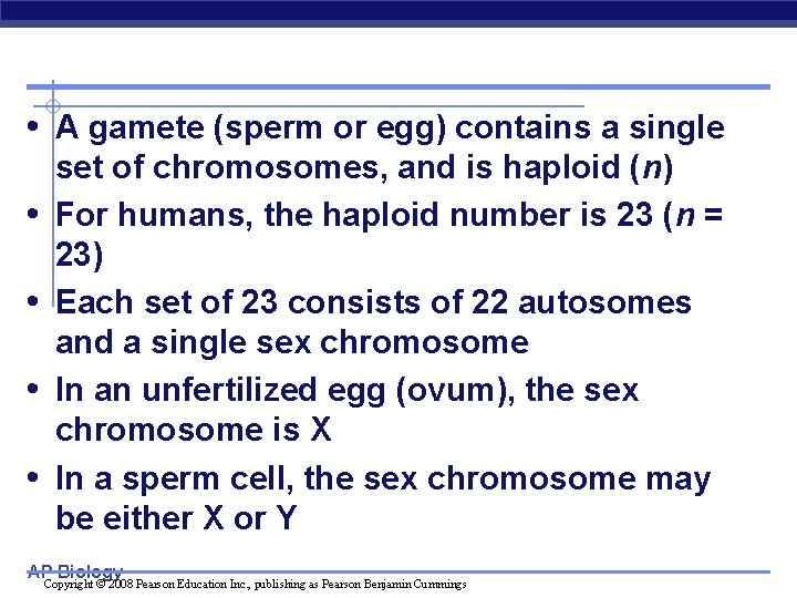  • A gamete (sperm or egg) contains a single • • set of