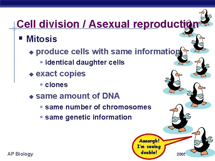 Cell division / Asexual reproduction § Mitosis u produce cells with same information §