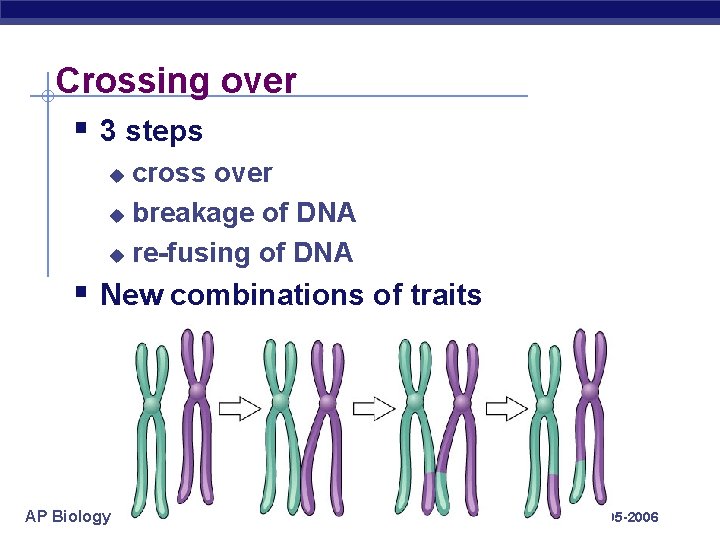 Crossing over § 3 steps cross over u breakage of DNA u re-fusing of