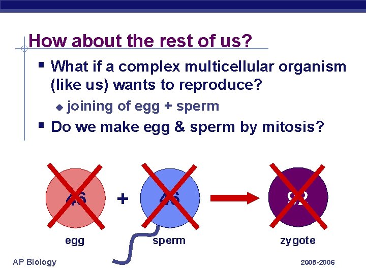 How about the rest of us? § What if a complex multicellular organism (like